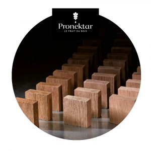 VINIBLOCK (kockice) za vino FO MT, Pronektar (FO=francuski hrast), (MT=medijum tostiran)